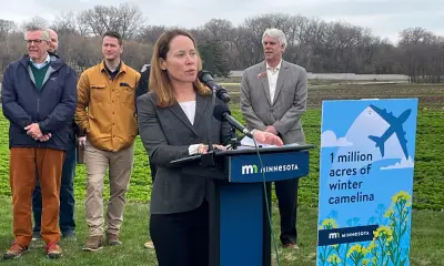 A new Minnesota cover crop could help make air travel greener, UMN St. Paul researchers say