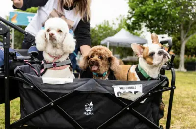Pooches and their people show up for San Diego Humane Society at Walk for Animals
